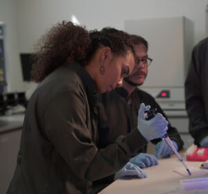 Plantas daninhas na lavoura de algodão: manejo integrado e melhoramento genético são aliados do produtor