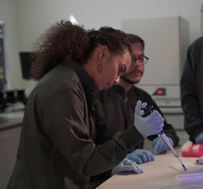 Plantas daninhas na lavoura de algodão: manejo integrado e melhoramento genético são aliados do produtor