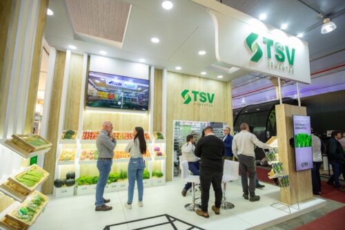 TSV Sementes inicia nova fase com portfólio ampliado