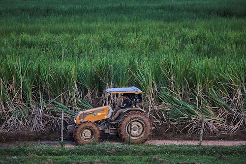 Alta nas vendas de tratores e avanço do consórcio impulsionam investimentos no campo em 2025