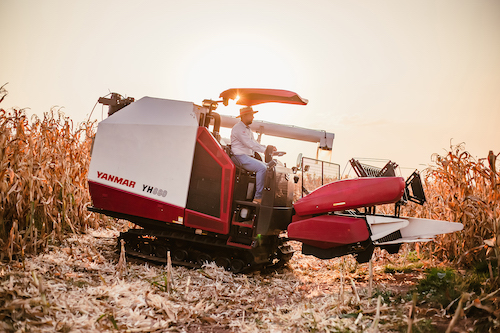 Black November da YANMAR oferece até R$ 25 mil off em máquina de construção civil e condições especiais de financiamento na linha agrícola