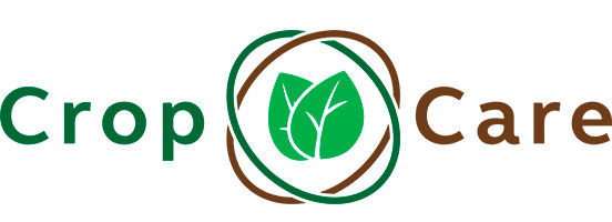 Nematoides e fungos: inimigos invisíveis que desafiam a produtividade no campo