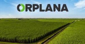 Para ORPLANA decisões paralelas ao Consecana-SP colocam em risco a remuneração do produtor