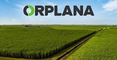 Para ORPLANA decisões paralelas ao Consecana-SP colocam em risco a remuneração do produtor