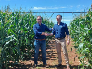 3tentos atualiza projeções e anuncia, no 3tentos Day, nova indústria de processamento de milho no Pará