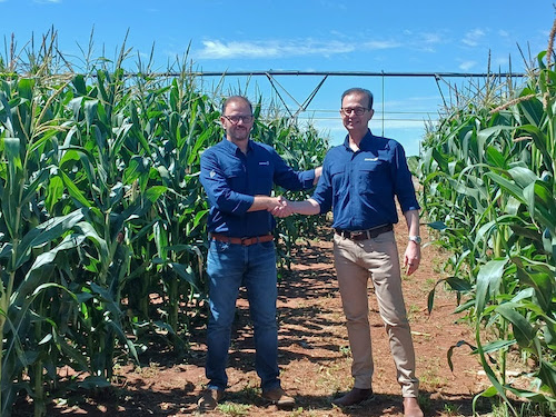 3tentos atualiza projeções e anuncia, no 3tentos Day, nova indústria de processamento de milho no Pará