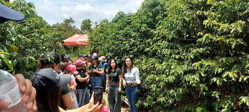Allterra estimula conscientização sobre manejo regenerativo do solo e fortalece protagonismo feminino no agro