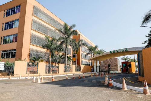 Alimentos vegetais brasileiros não apresentam risco crônico à saúde, aponta Anvisa