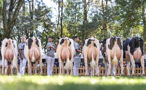 Cooperativa Capal realiza Expoleite 2026 nos dias 2 a 4 de julho