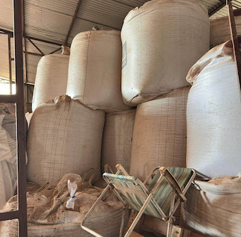 Balanço anual totaliza 850 toneladas de sementes suspeitas apreendidas