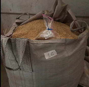 Balanço anual totaliza 850 toneladas de sementes suspeitas apreendidas