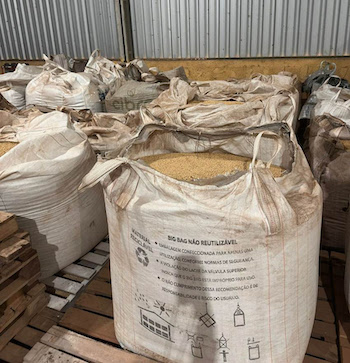 Balanço anual totaliza 850 toneladas de sementes suspeitas apreendidas