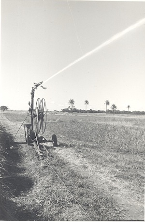 A contribuição dos 50 anos de ciência para transformação da agricultura irrigada no Cerrado
