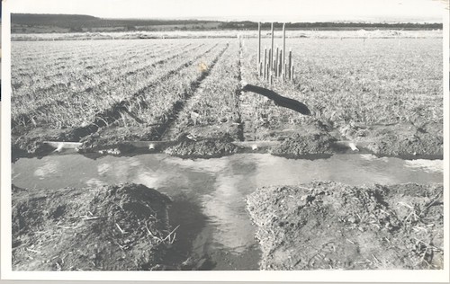  A contribuição dos 50 anos de ciência para transformação da agricultura irrigada no Cerrado