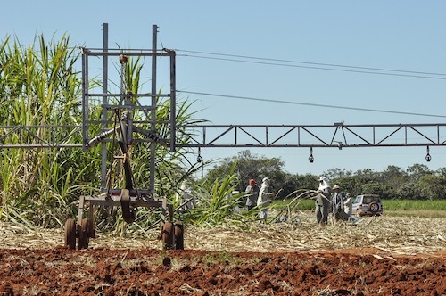 A contribuição dos 50 anos de ciência para transformação da agricultura irrigada no Cerrado