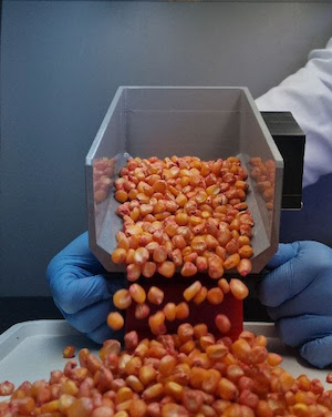  Revestimento Inteligente é finalista em prêmio nacional de inovação da Embrapii