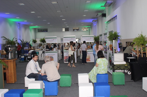 Congresso Raízes da Inovação fortalece debate sobre tecnologias emergentes no Brasil