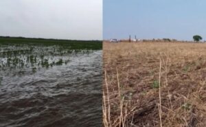 Dezembro chuvoso deve alterar ritmo das colheitas e pressionar produtividade