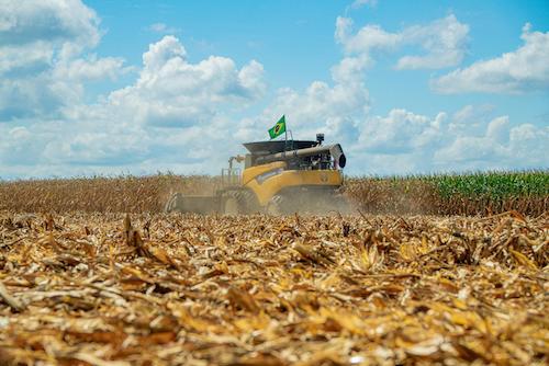 Cuidado constante com o solo é um dos segredos do campeão nacional de produtividade do milho
