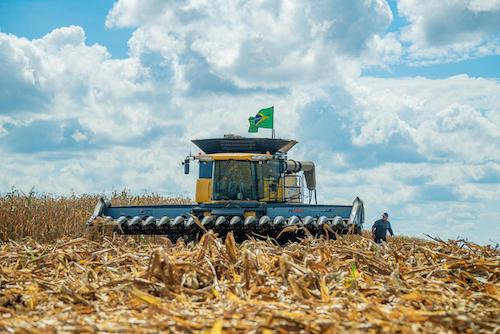 Cuidado constante com o solo é um dos segredos do campeão nacional de produtividade do milho
