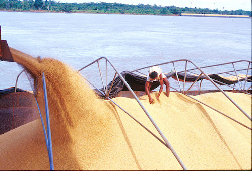 Hidrovias do Arco Norte consolidam-se como eixo estratégico para o agronegócio Corredores hidroviários da Amazônia movimentaram quase 50 milhões de toneladas de soja e milho apenas nos dez primeiros meses de 2025