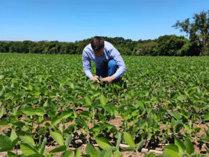 NutroScan da ICL já está no campo e clientes têm diagnóstico nutricional instantâneo em plantas