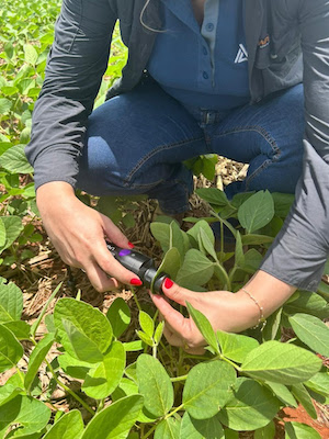 NutroScan da ICL já está no campo e clientes têm diagnóstico nutricional instantâneo em plantas