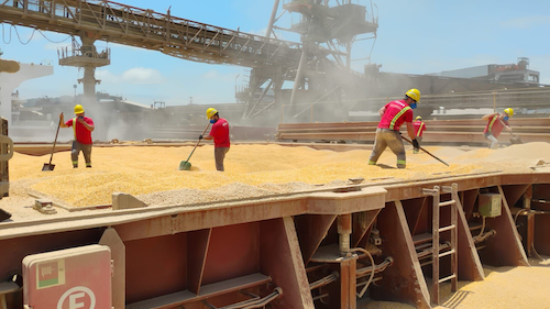 Interalli Grãos lidera operação recorde de embarque de milho no Porto de Paranaguá