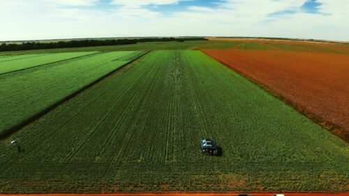 Brasil agrícola encerra 2025 com maior safra da história, clima imprevisível e resiliência do produtor