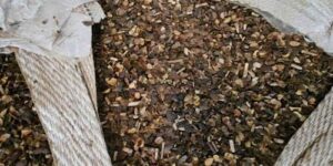 Mais da metade do café analisado em compras públicas no Paraná apresenta fraude, aponta fiscalização