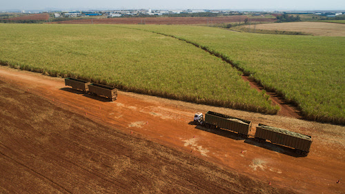  Raízen promove excelência operacional com programas de reconhecimento no transporte e colheita de cana