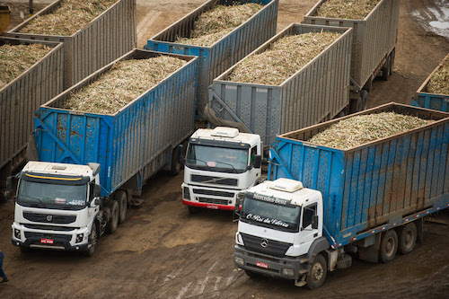 Raízen promove excelência operacional com programas de reconhecimento no transporte e colheita de cana