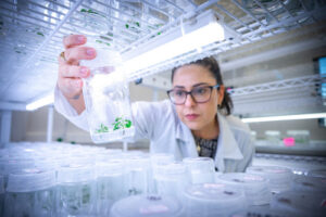 SENAI e BNDES firmam parceria para investir até R$ 60 milhões em qualificação profissional