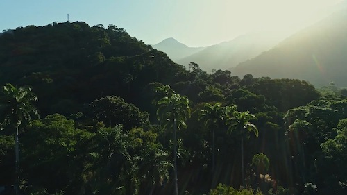 Shell Brasil, Petrobras e CCARBON/USP lançam o Carbon Countdown, maior banco de dados de estoques de carbono já realizado no país