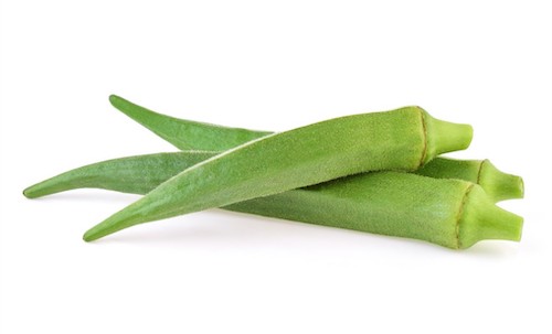 Produtores de quiabo priorizam materiais que garantem regularidade de oferta