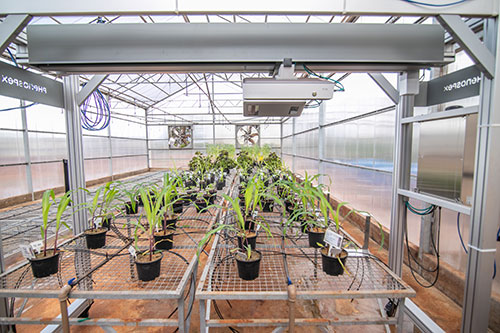 Vittia traz tecnologia inédita ao Brasil que vai revolucionar a pesquisa agrícola