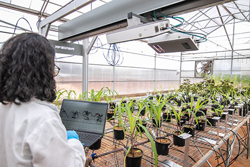 Vittia traz tecnologia inédita ao Brasil que vai revolucionar a pesquisa agrícola