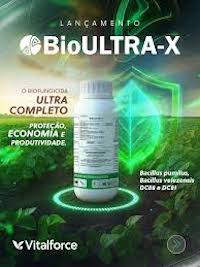  Doenças de final de ciclo pressionam produtores a adotar novas ferramentas de manejo