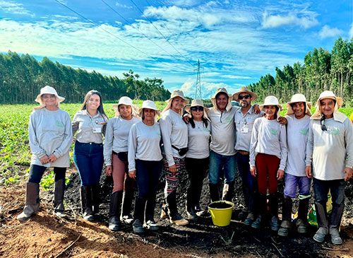 Famílias do Vale do Jequitinhonha cultivam espécies biofortificadas de batata-doce, ricas em vitamina A