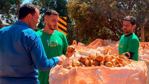 Iniciativa do agro distribui 140 toneladas de alimentos para 230 entidades sociais