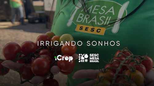 Iniciativa do agro distribui 140 toneladas de alimentos para 230 entidades sociais