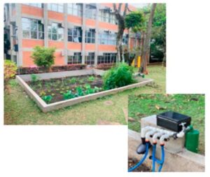 Agricultura inteligente: tecnologia de dados otimiza o agro e amplia eficiência