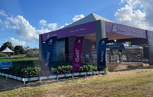 Sul vive momento decisivo da safra com atenção redobrada ao manejo fitossanitário