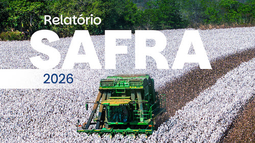  Abrapa divulga primeiro relatório da safra 2025/2026 com plantio em ritmo acelerado e projeções positivas para exportações