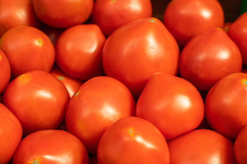 Mecanização impulsiona produção de tomate no Brasil e fortalece competitividade da agricultura familiar