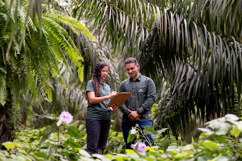  Agropalma expande manejo sustentável para combater degradação dos solos