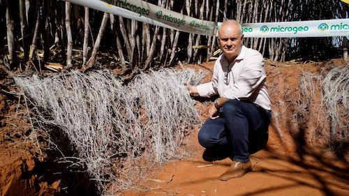 Produtor rompe barreira das 160 t/ha em cana-planta com manejo microbiológico de solo