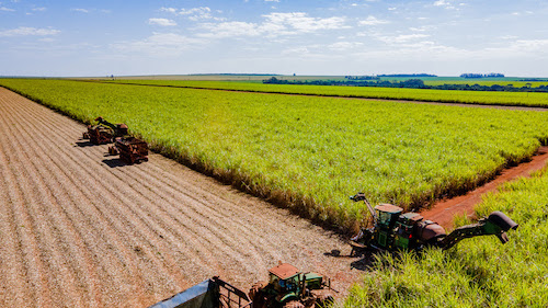  Atvos amplia parceriacom a Harven Agribusiness School para capacitar 11 mil colaboradores