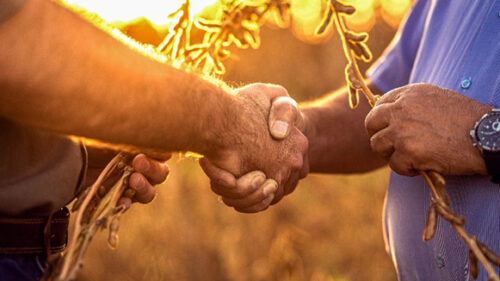 BASF e Opea anunciam quarta rodada de FIAGRO FIDC, com captação de R$ 1,4 bilhão