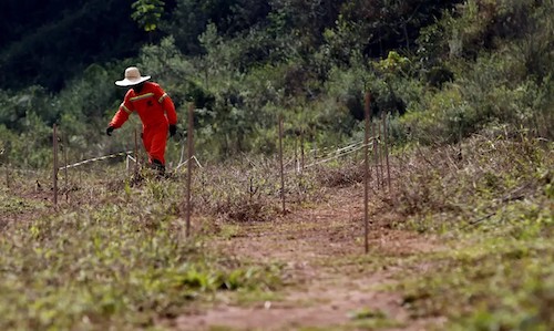BNDES libera primeira parcela para projeto de descontaminação de solos na Bacia do Rio Doce